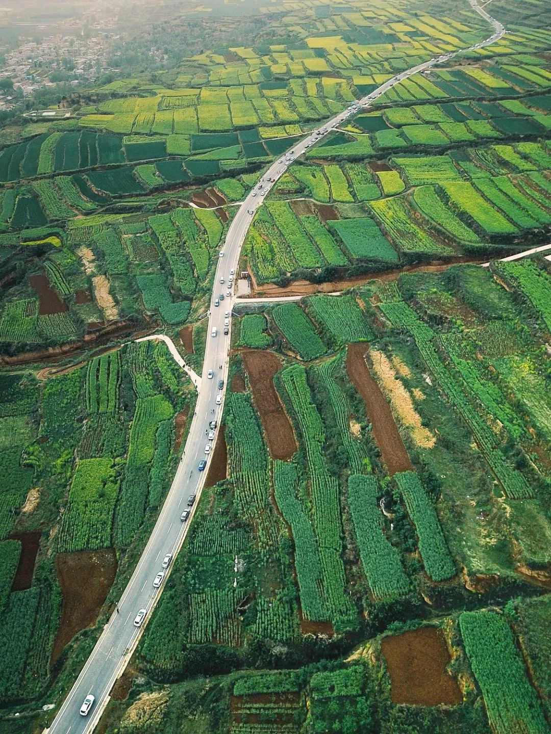 西安人的常态 (西安人都在等什么)