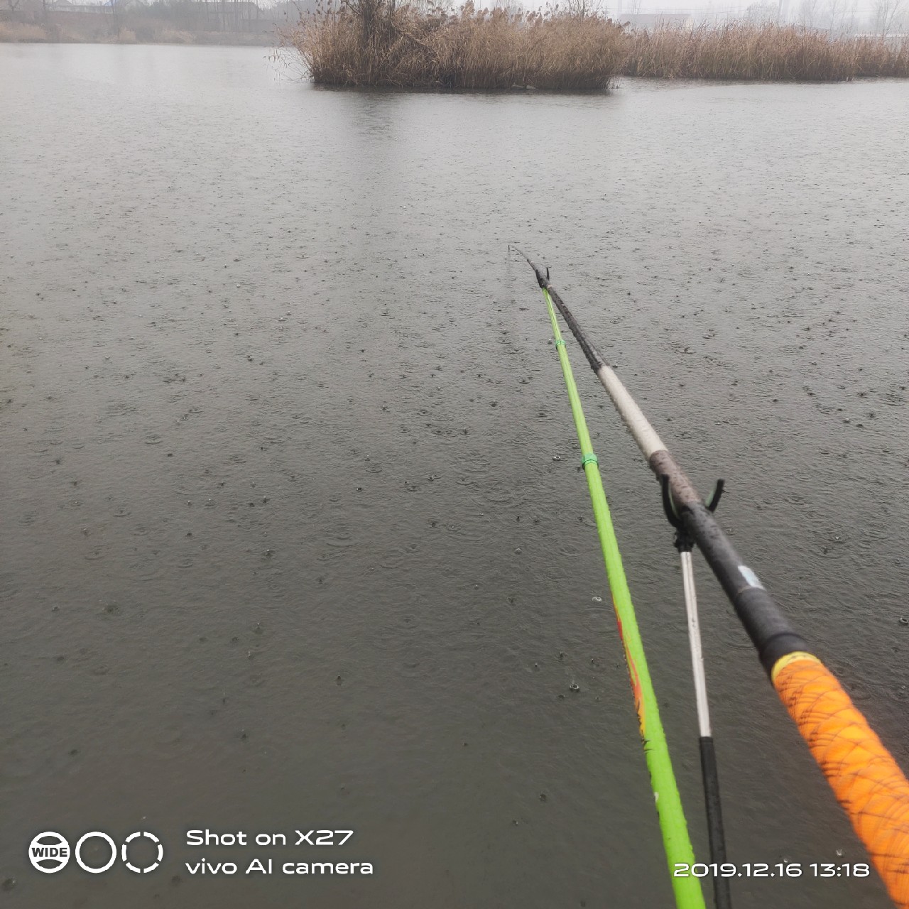 春天小雨天钓鲫鱼技巧和方法,钓鲫鱼的正确方法与技巧