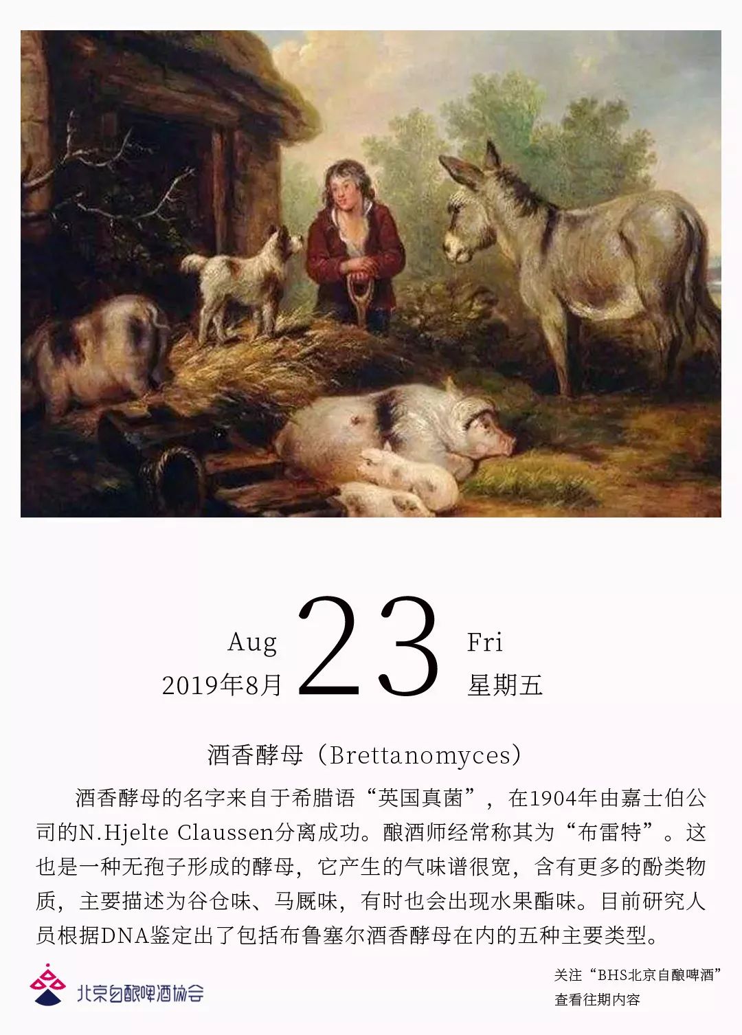 中国第一本啤酒日历啤博士粉丝福利免费送