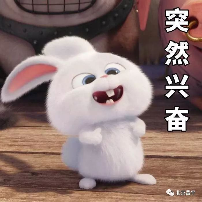 昌平公园开建了吗,北京昌平好未来项目最新进度