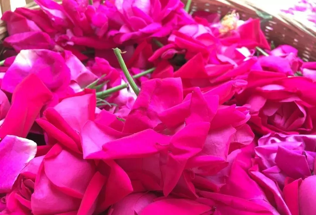 潮玩灵感微醺一夏沁凉开启,潮玩游玩攻略