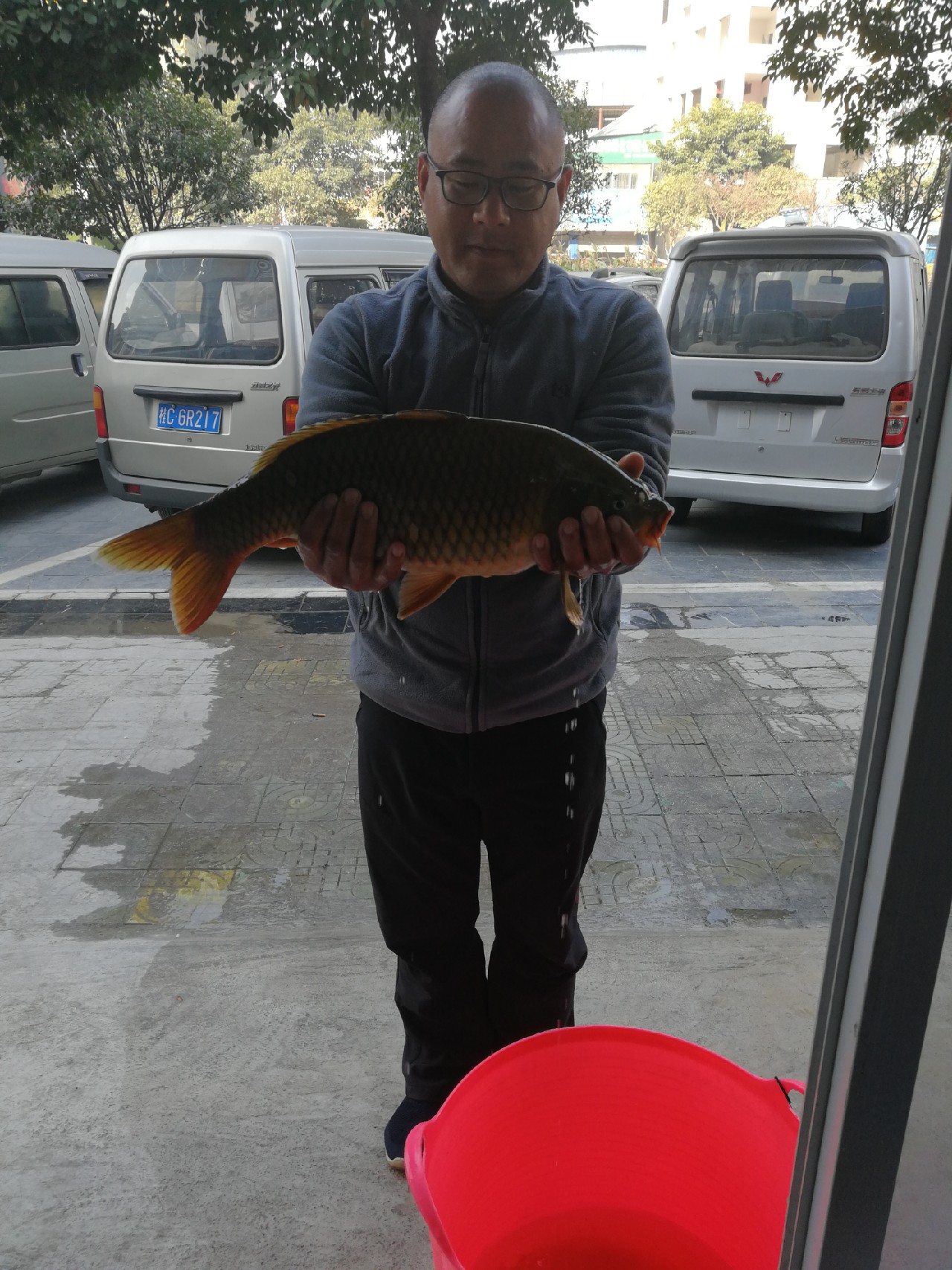 月光洞终于脱了半年的龟，尤其想念钓友的盒饭