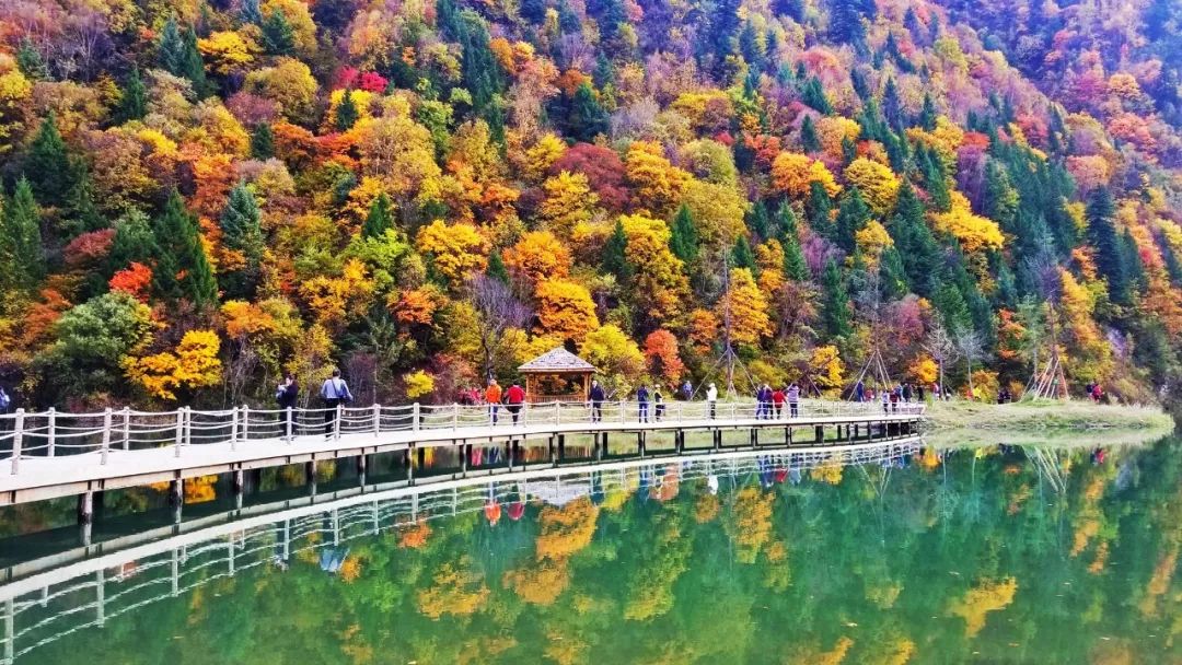 航拍阿坝农村视频,阿坝风景全景视频