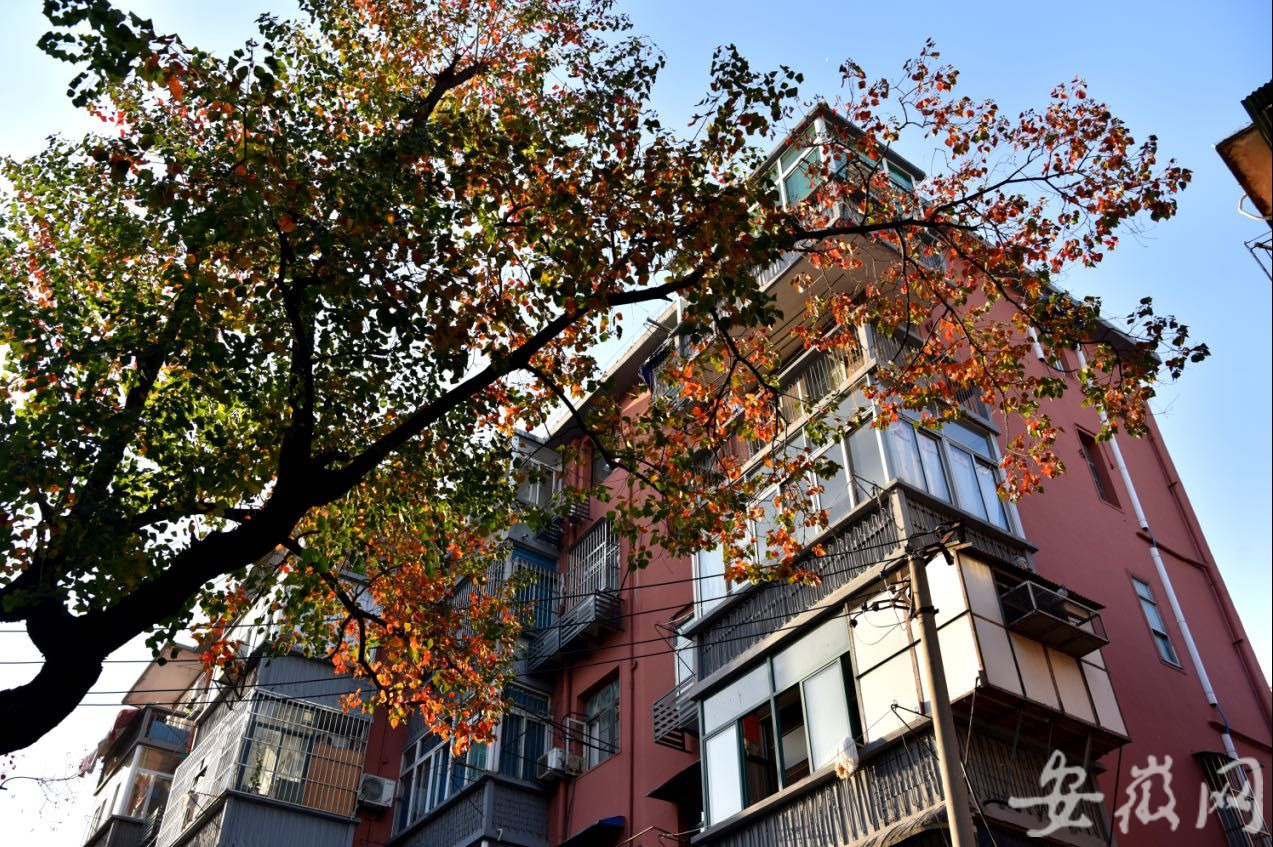 庐阳在首善路上新老合肥“双城记”：红星路上的那些故事总会令人莫名地陶醉