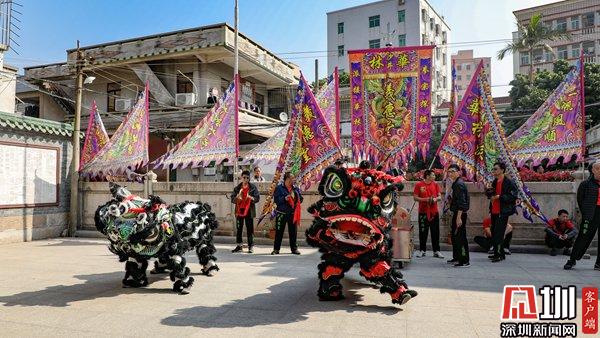 宝安区第十一届沙井金蚝节,2015年深圳沙井金蚝节