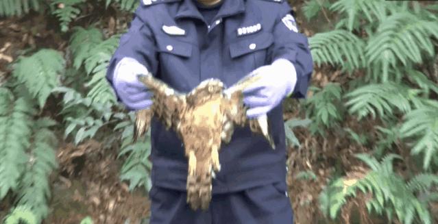 守护“舌尖上的安全”丨杭州警方“昆仑3号”行动一举打掉多个制假、售假犯罪团伙