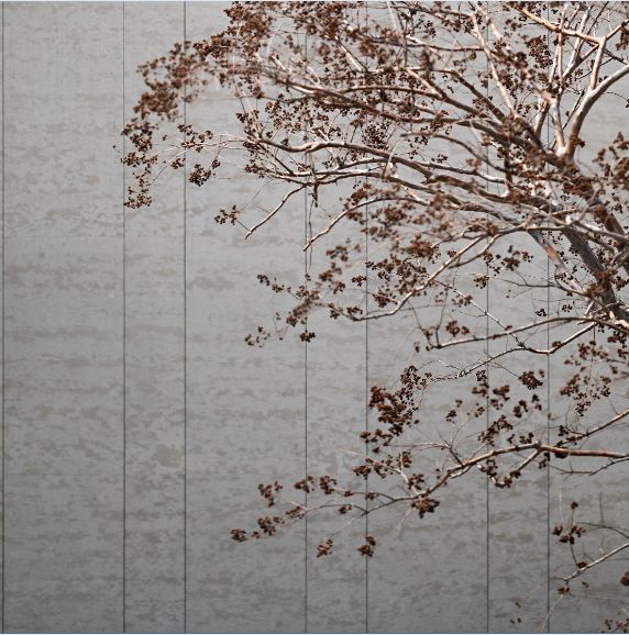 以时间之光，重塑生命之源|IAID无限营造