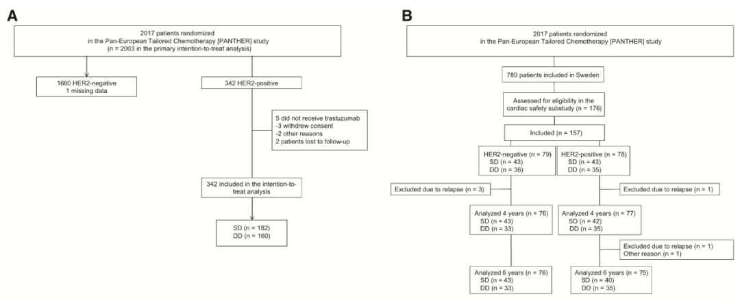 三阴性乳腺癌治疗指南最新版,基底型乳腺癌和三阴性乳腺癌