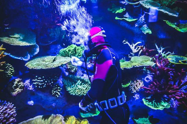 猝不及防闯入你的容颜｜你好，青岛