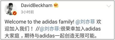 adidas广告刘亦菲易烊千玺,刘亦菲adidas代言人