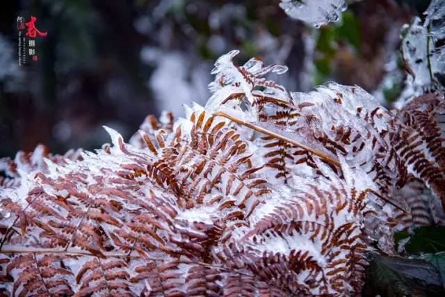 2020骞翠綑棰濆凡涓嶈冻,2019骞村凡浣欓涓嶈冻