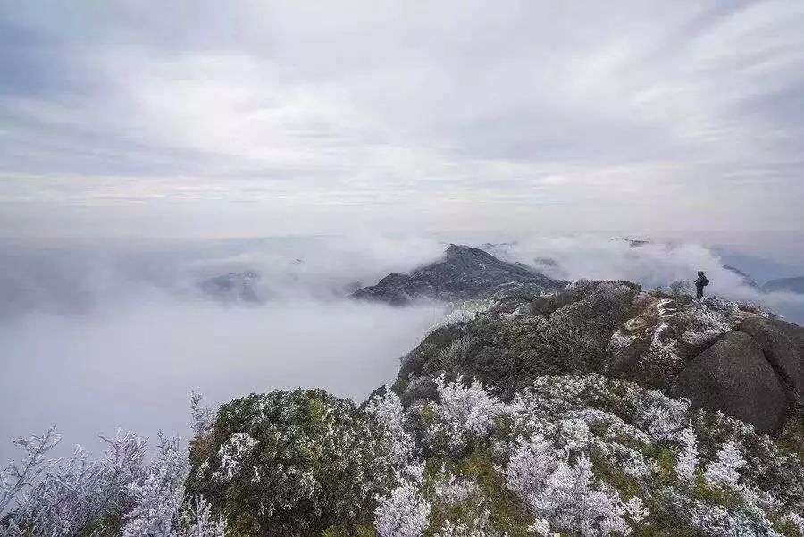 2020骞翠綑棰濆凡涓嶈冻,2019骞村凡浣欓涓嶈冻