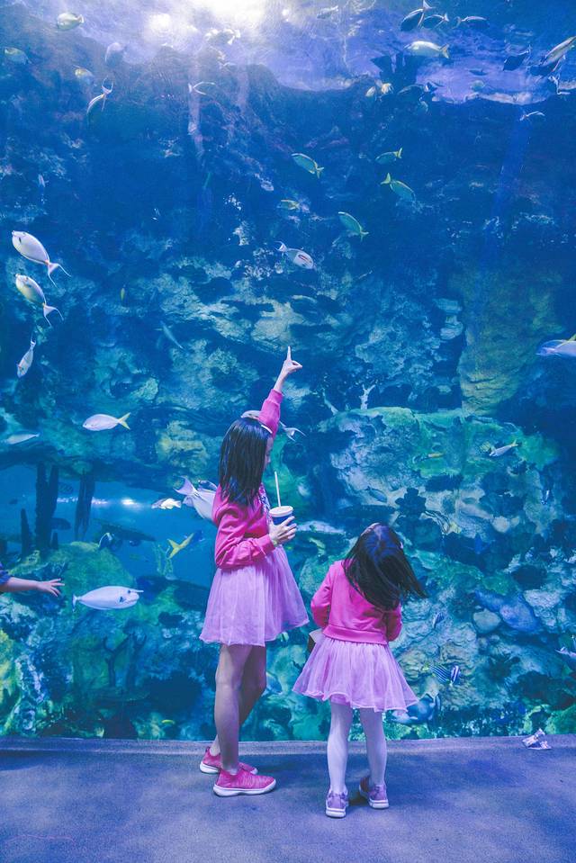 珠海长隆海洋王国海底夜宿,珠海长隆海洋王国鲸鲨馆海底区