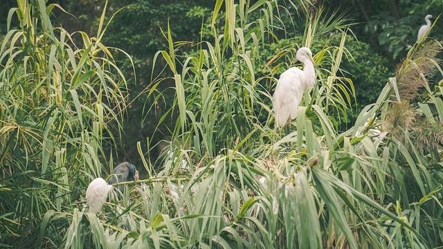长隆海洋王国海牛馆探秘,珠海长隆海洋王国海底夜宿