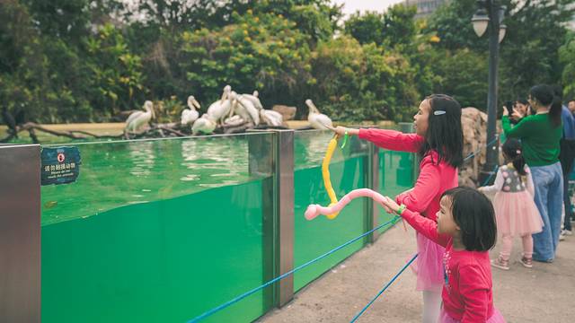 长隆海洋王国海底机动船,珠海长隆海洋王国鲸鲨馆海底区
