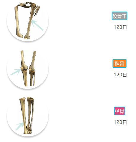 「骨科康复」骨折愈合分期和愈合时间