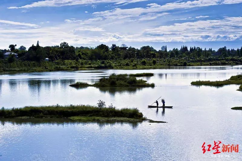 成都4号线最大的湿地公园,成都湿地公园能坐地铁去的有哪些