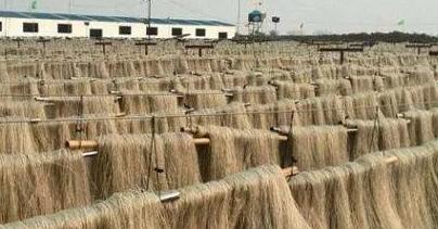 红薯粉怎样辨真假,红薯粉烧一下判断真假