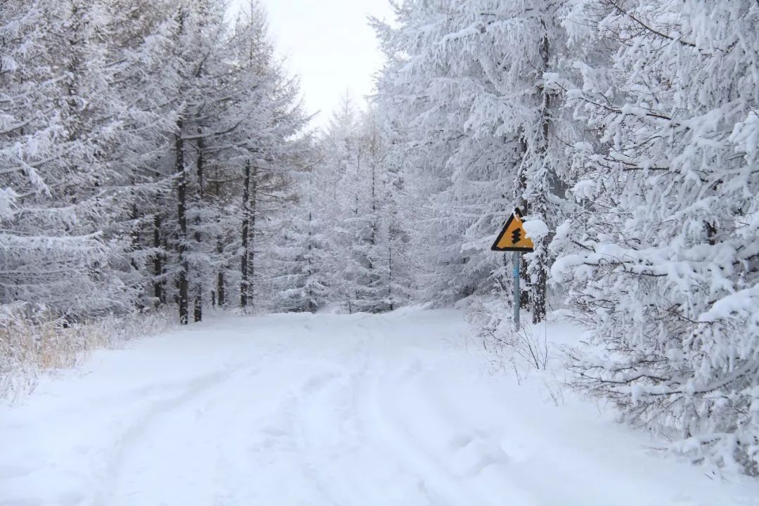 冬季天路旅游攻略大全一日游,秋季游草原天路的最美线路