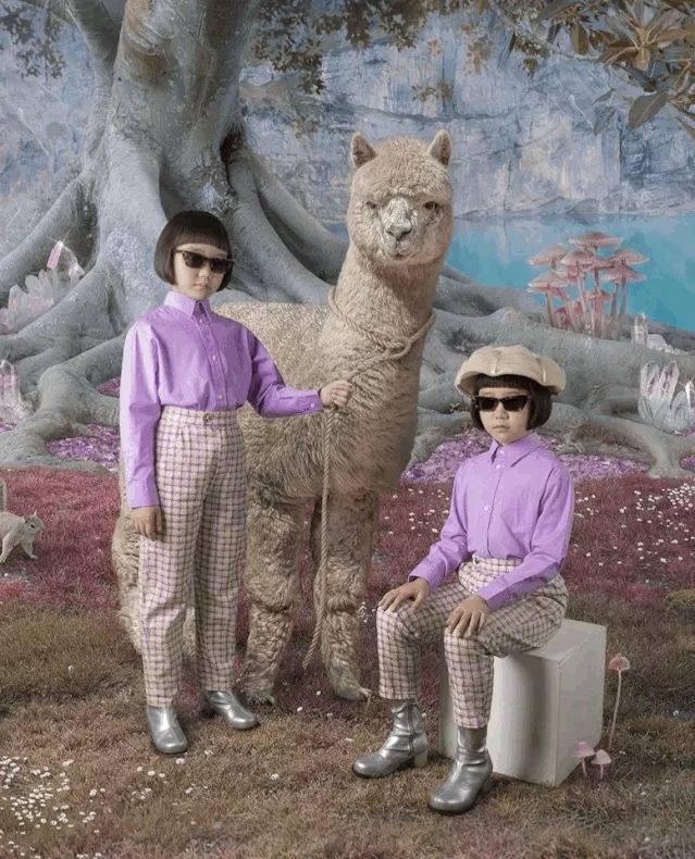 自古少年天才盘点,自古天才