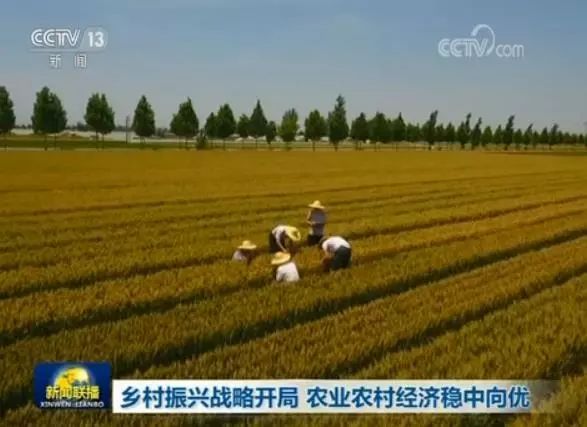 中国道路能否超越西方模式,中国的道路超越西方