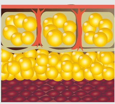 超强饱腹感饼干推荐,能量低饱腹感强的饼干有哪些