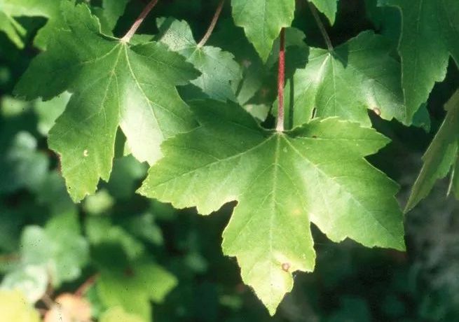 晚上应该是男人最忙的时候,晚上才是男人独处的时间