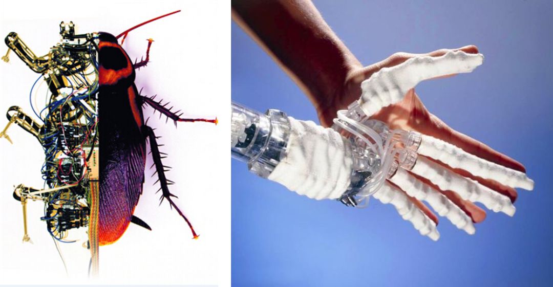 用氧化物定制人脑之梦