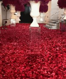 这些名流明星办的派对，也太惊人了吧