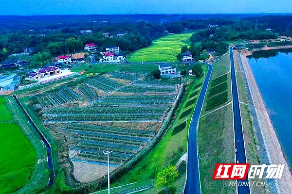 巩固脱贫攻坚与乡村振兴会议记录,常德谱写乡村振兴新篇章