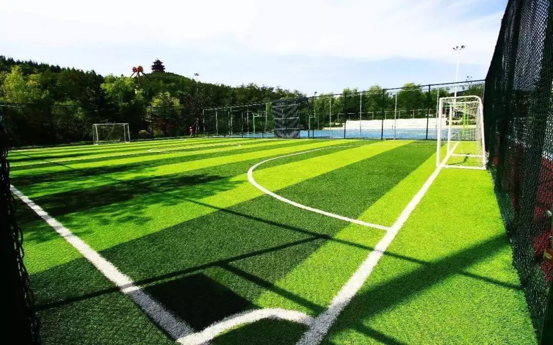 欢呼吧,欢呼吧最新视频