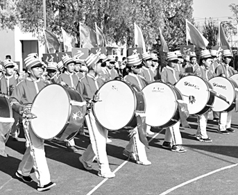 体艺之花绽放颍东