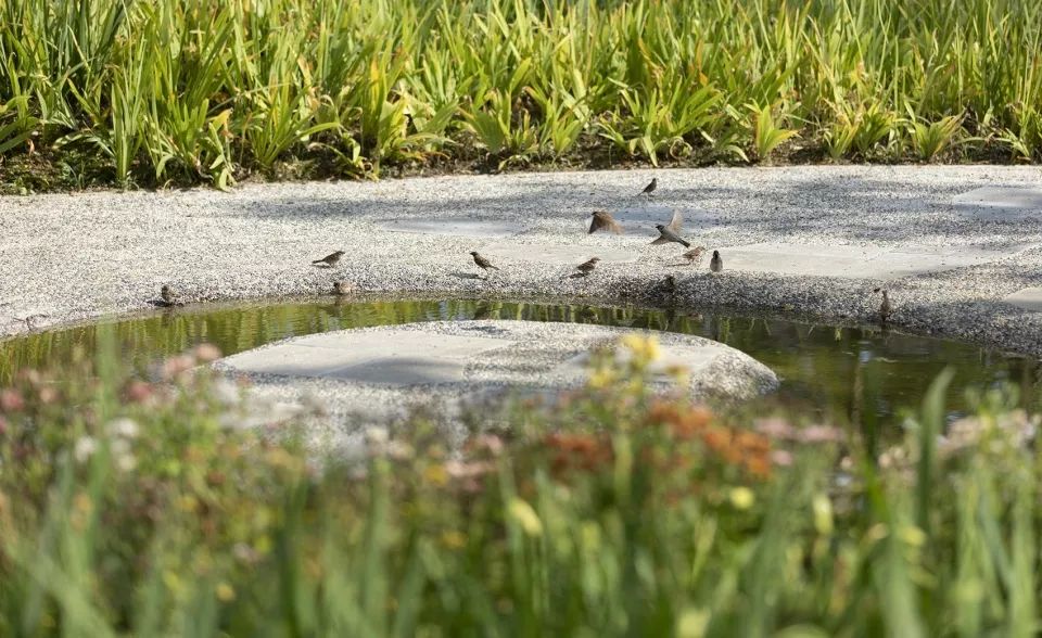 西秀区武当路虹山湖市民公园,安顺虹山湖市民公园