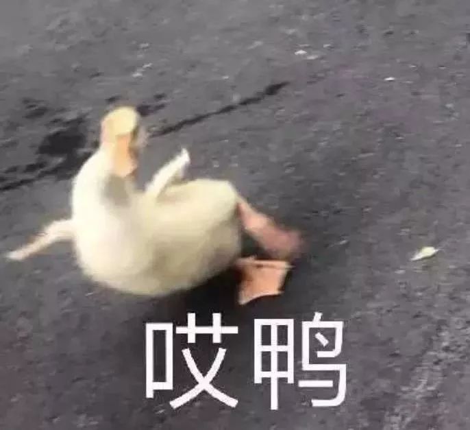 试管姐妹们，这些眼泪，你没必要流！