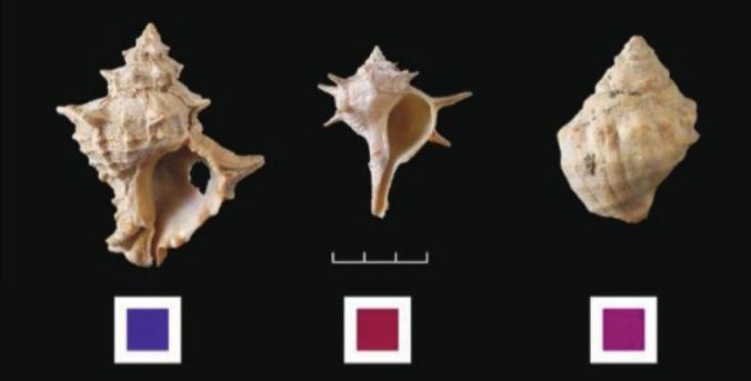 新年立了一个flag,年初你都立过哪些flag