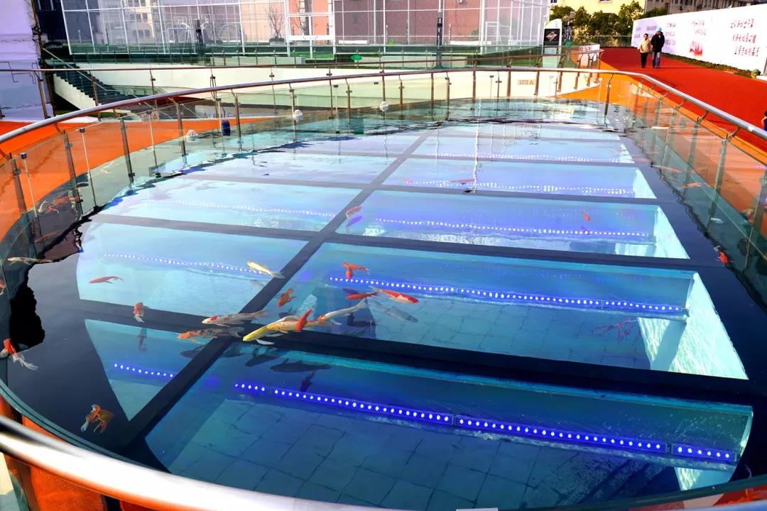 南通又一网红打卡点即将开建,南通网红打卡景点网红桥