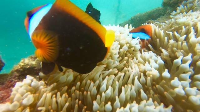 巴厘岛旅游自由行详细攻略,巴厘岛旅行攻略自由行路线图大全