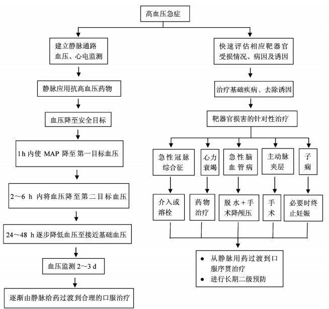 高血压急症的诊治策略,高血压急症的最主要护理诊断