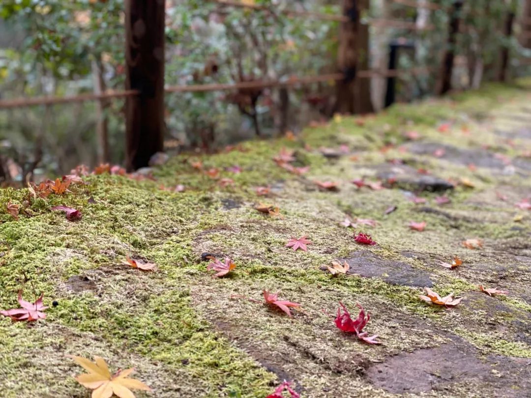 安缦到底有多么奢华,安缦京都