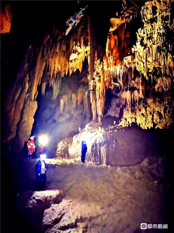 猪拱嘴鱼、长角蟋蟀、金色蜈蚣……贵州一溶洞发现多种不明生物