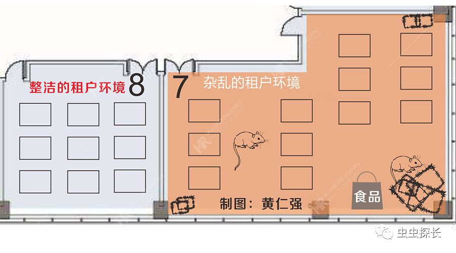 案例分析丨写字楼老鼠猖獗,如何抽丝剥茧破鼠害