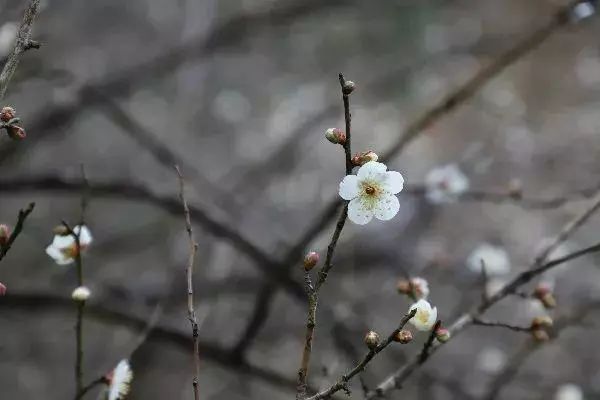 奉化旅游散客游线路,奉化的旅游线路推荐