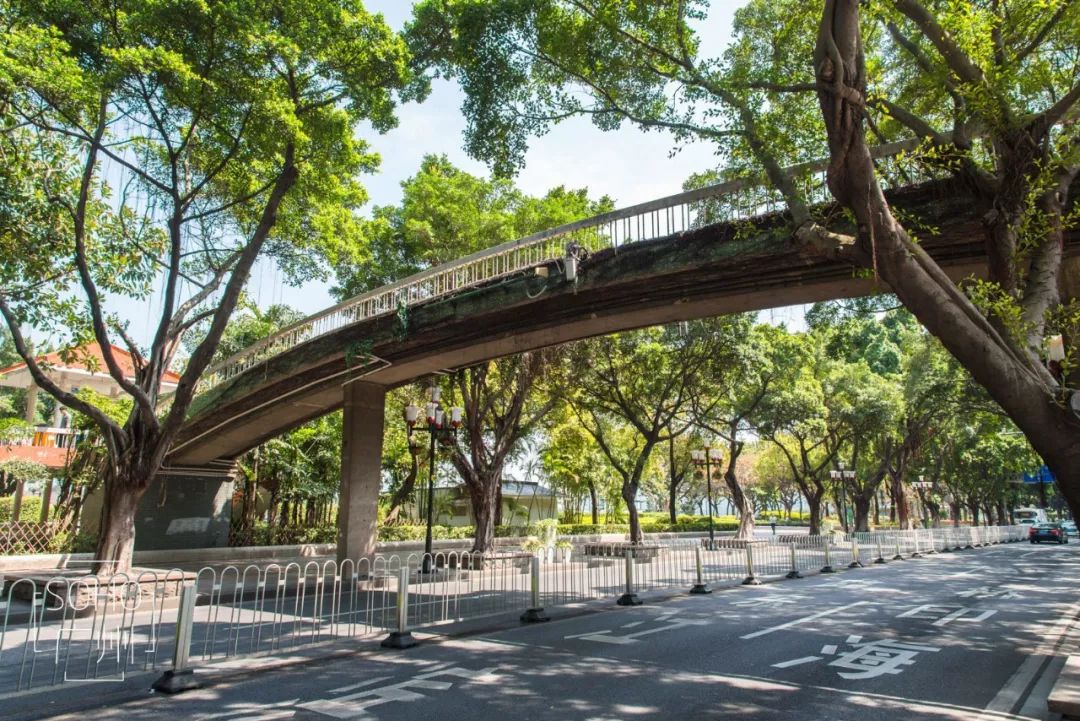 广州海珠区免费公园推荐,海珠区最近的公园