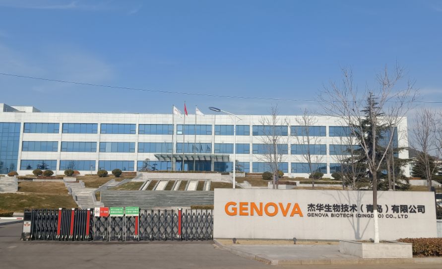 这家乙肝新药生产企业19年前由北美留学团队创立，登陆科创板“关键期”原研新药饱受争议，公司最新回应来了