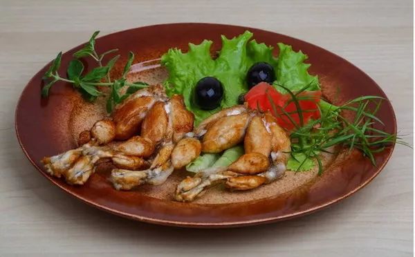 中国人为什么爱吃野生动物,李时珍主张吃什么肉最好