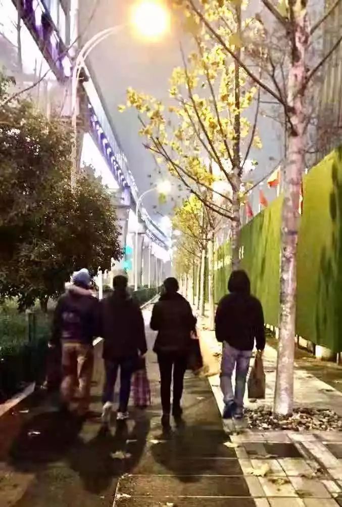 武汉重症医生人数,医护人员重症患者