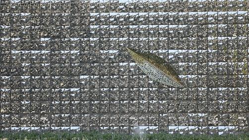 那些惊艳到你的景观,惊艳的景观细节