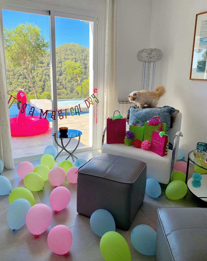 继承老佛爷遗产的猫怎么样了,老佛爷的猫咪现在怎么样了