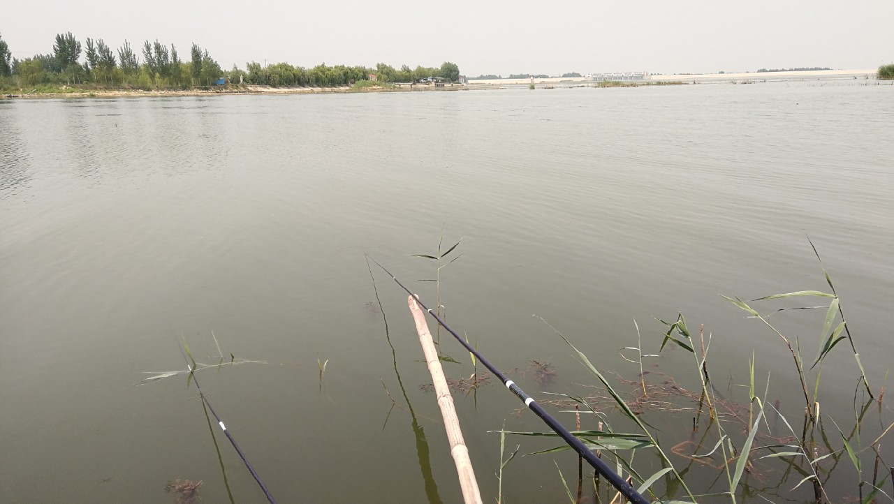 冬季钓鱼窝料配方最新秘方,野钓窝料秘方大揭秘大板鲫的克星