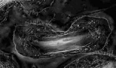 21天深度测评报告3.0升级版|2020年第二期